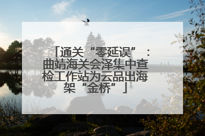 通关“零延误”：曲靖海关会泽集中查检工作站为云品出海架“金桥”