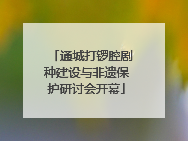 通城打锣腔剧种建设与非遗保护研讨会开幕