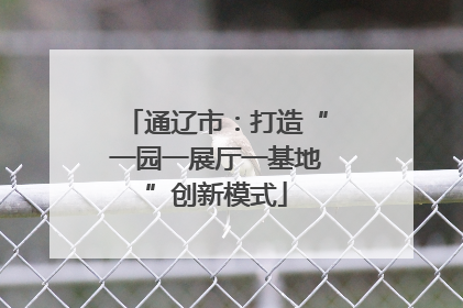 通辽市：打造“一园一展厅一基地”创新模式