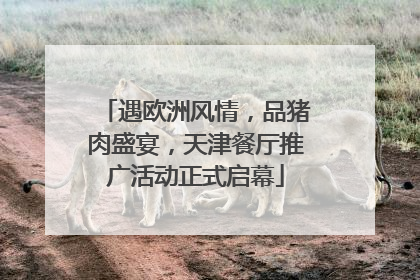 遇欧洲风情，品猪肉盛宴，天津餐厅推广活动正式启幕