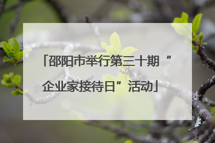 邵阳市举行第三十期“企业家接待日”活动