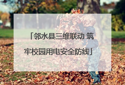 邻水县三维联动 筑牢校园用电安全防线
