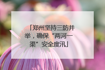郑州坚持三防并举，确保“两河一渠”安全度汛