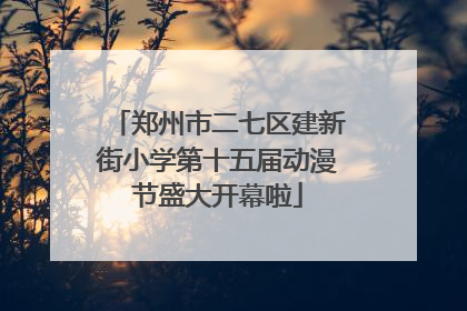 郑州市二七区建新街小学第十五届动漫节盛大开幕啦