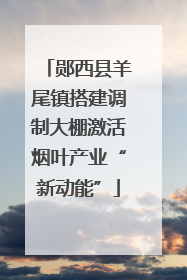 郧西县羊尾镇搭建调制大棚激活烟叶产业“新动能”