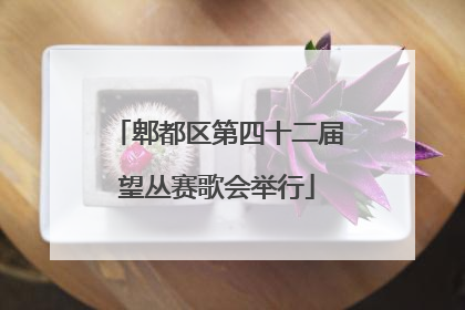 郫都区第四十二届望丛赛歌会举行