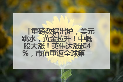 重磅数据出炉，美元跳水，黄金拉升！中概股大涨！英伟达涨超4%，市值重返全球第一！黄仁勋计划出售至多600万股股票