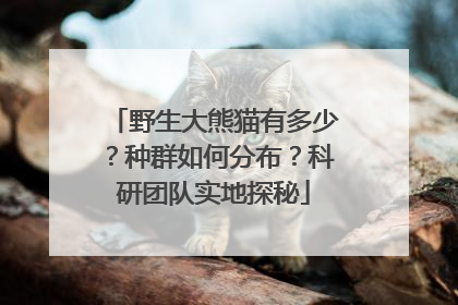 野生大熊猫有多少？种群如何分布？科研团队实地探秘