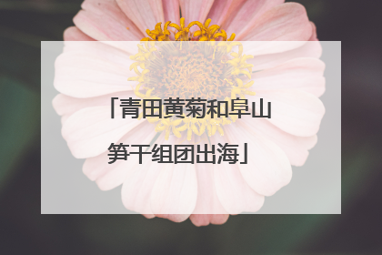 青田黄菊和阜山笋干组团出海