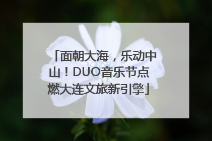 面朝大海，乐动中山！DUO音乐节点燃大连文旅新引擎
