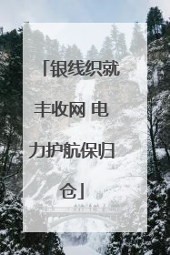 银线织就丰收网 电力护航保归仓
