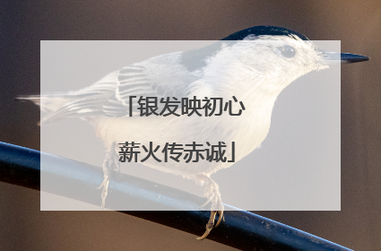 银发映初心 薪火传赤诚