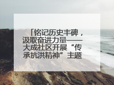 铭记历史丰碑，汲取奋进力量——大成社区开展“传承抗洪精神”主题党日活动