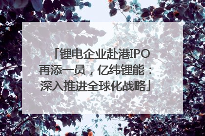 锂电企业赴港IPO再添一员，亿纬锂能：深入推进全球化战略