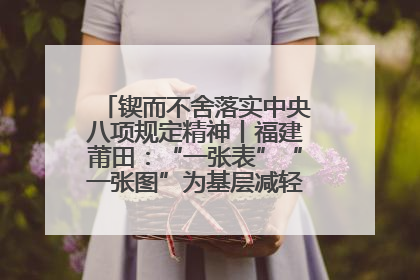 锲而不舍落实中央八项规定精神丨福建莆田：“一张表”“一张图”为基层减轻“数字负担”