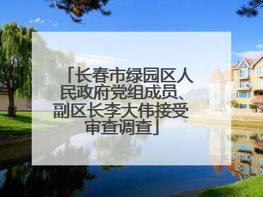 长春市绿园区人民政府党组成员、副区长李大伟接受审查调查