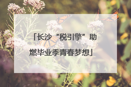 长沙“税引擎”助燃毕业季青春梦想
