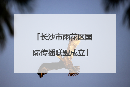 长沙市雨花区国际传播联盟成立
