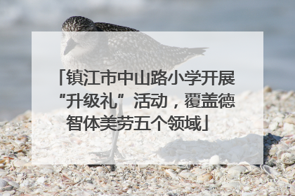 镇江市中山路小学开展“升级礼”活动，覆盖德智体美劳五个领域