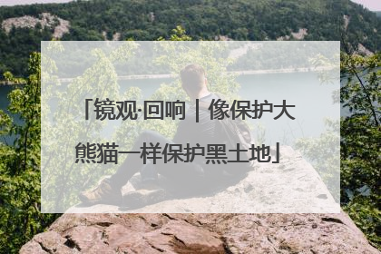 镜观·回响｜像保护大熊猫一样保护黑土地