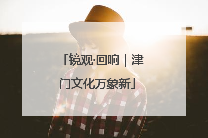 镜观·回响｜津门文化万象新