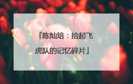 陈灿培：拾起飞虎队的记忆碎片