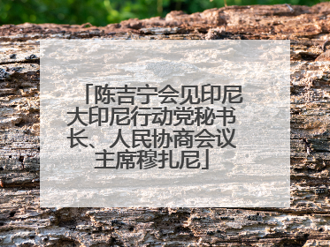 陈吉宁会见印尼大印尼行动党秘书长、人民协商会议主席穆扎尼