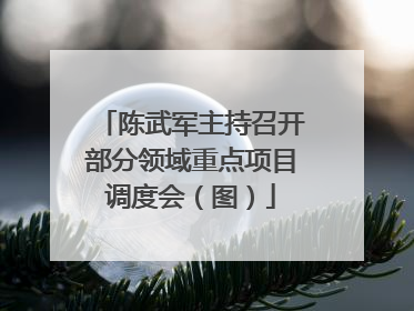 陈武军主持召开部分领域重点项目调度会（图）
