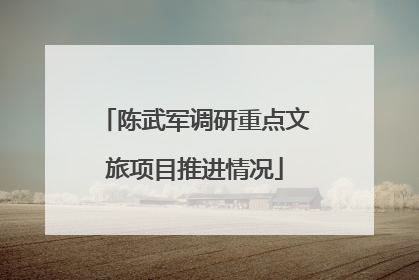 陈武军调研重点文旅项目推进情况