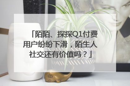 陌陌、探探Q1付费用户纷纷下滑，陌生人社交还有价值吗？
