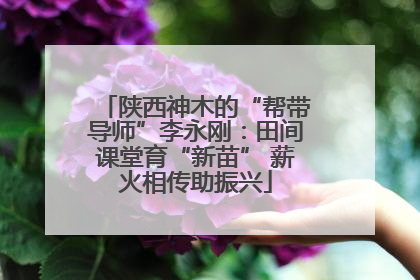 陕西神木的“帮带导师”李永刚：田间课堂育“新苗” 薪火相传助振兴