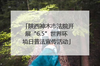 陕西神木市法院开展“6.5”世界环境日普法宣传活动