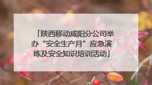陕西移动咸阳分公司举办“安全生产月”应急演练及安全知识培训活动