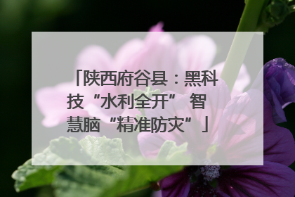 陕西府谷县：黑科技“水利全开” 智慧脑“精准防灾”