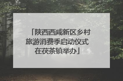陕西西咸新区乡村旅游消费季启动仪式在茯茶镇举办