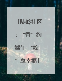 陡岭社区：“香”约端午 “粽”享幸福