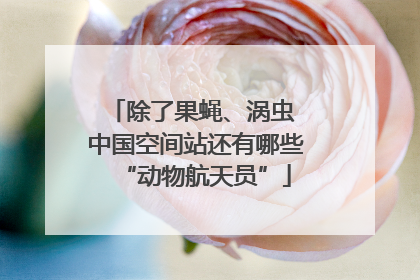 除了果蝇、涡虫 中国空间站还有哪些“动物航天员”