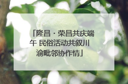 隆昌・荣昌共庆端午 民俗活动共叙川渝毗邻协作情