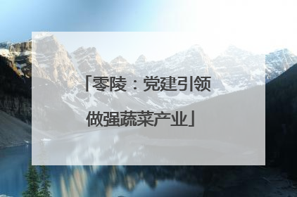 零陵：党建引领 做强蔬菜产业
