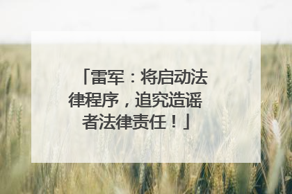 雷军：将启动法律程序，追究造谣者法律责任！