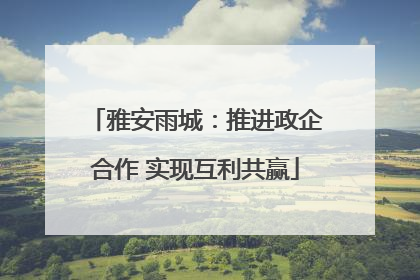 雅安雨城：推进政企合作 实现互利共赢