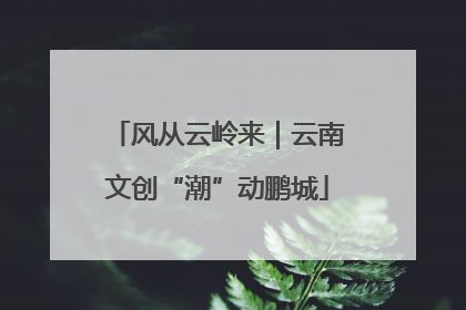 风从云岭来｜云南文创“潮”动鹏城