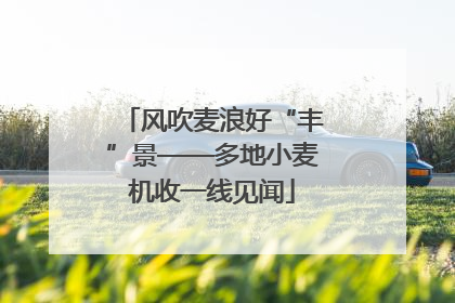 风吹麦浪好“丰”景——多地小麦机收一线见闻