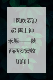 风吹麦浪起 再上神禾塬——陕西西安夏收见闻