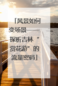 风景如何变场景——探析吉林“赏花游”的流量密码