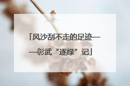 风沙刮不走的足迹——彰武“逐绿”记