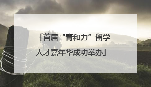 首届“青和力”留学人才嘉年华成功举办