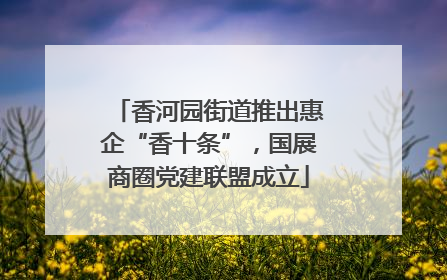 香河园街道推出惠企“香十条”，国展商圈党建联盟成立