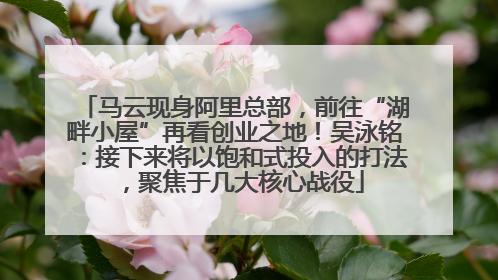 马云现身阿里总部，前往“湖畔小屋”再看创业之地！吴泳铭：接下来将以饱和式投入的打法，聚焦于几大核心战役
