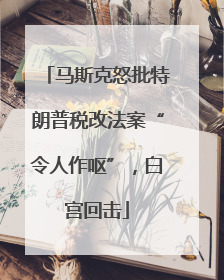 马斯克怒批特朗普税改法案“令人作呕”，白宫回击